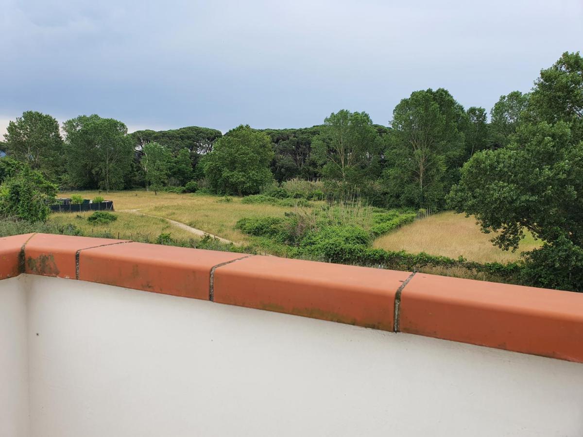 Appartamento Attico di Torsten Torre del Lago Puccini Esterno foto