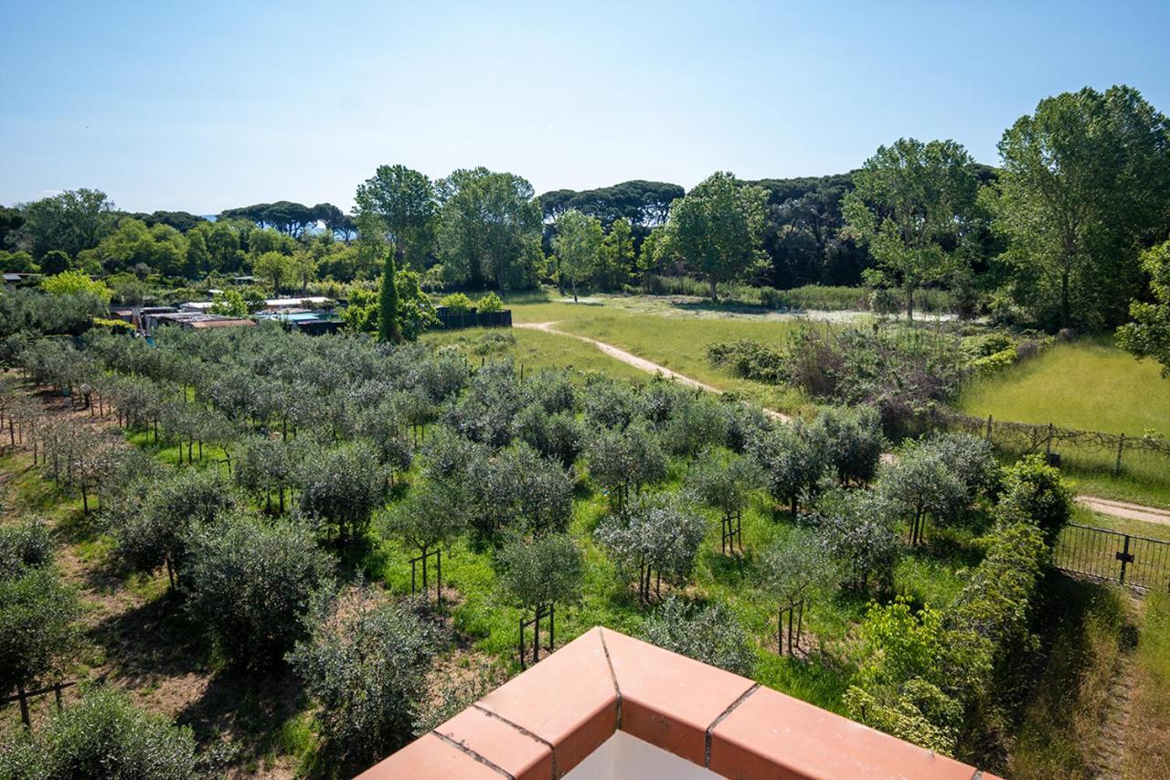 Appartamento Attico di Torsten Torre del Lago Puccini Esterno foto